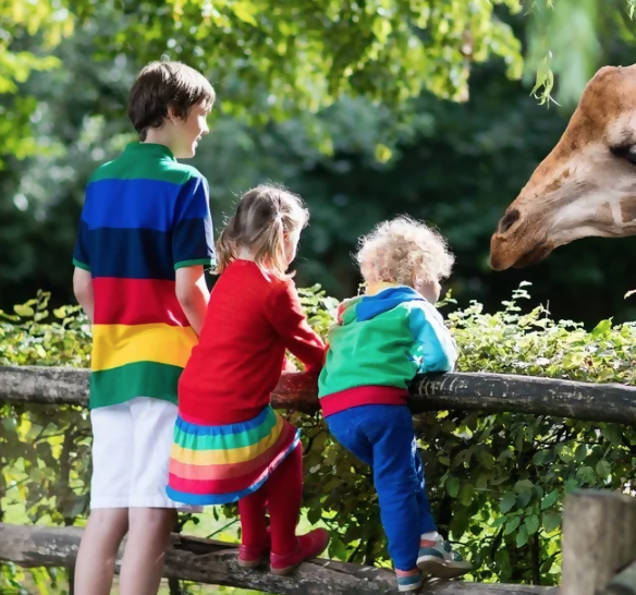 children learning from nature